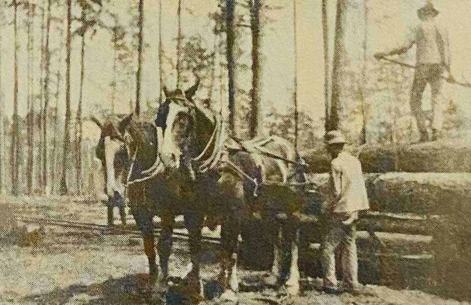 Loading-logs-on-a-tram-car2