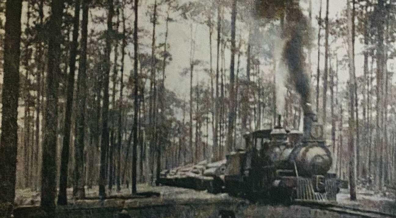 typical-kirby-logging-scene